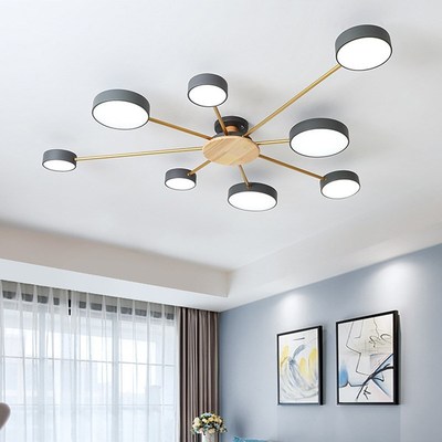 Nordic modern nimalist chandelier room LED ceiling lamp livi