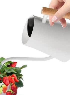 Plant Watering Can 42.27oz Vintage Stainless Steel Watering