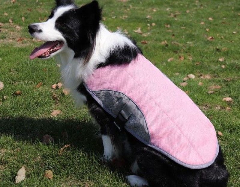 COOL Summer Dog Cooling Vest  Reflective Harness Cooler