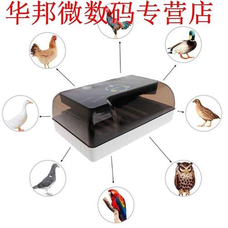 Egg Incubator Farm Hatching Device Machine Agriculture Hatch
