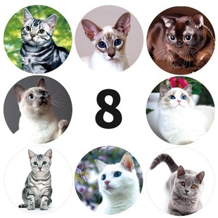 50-500pcs creative animals Cat stickers 1inch labels reward