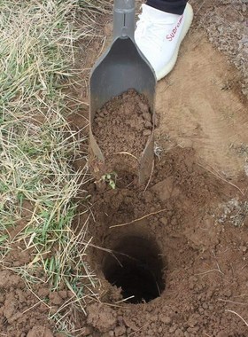 Piling is prohibited to dig holes for agricultural use in