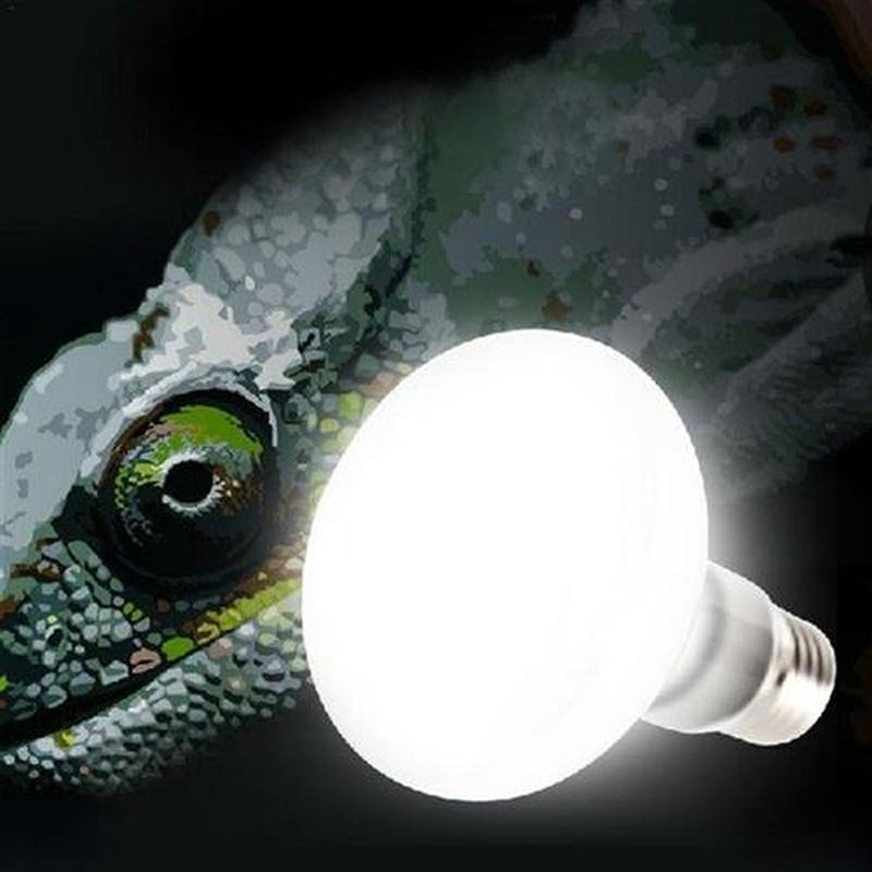 W 220V Reptile Light Bulb Heating Lamp Vivarium Terrarium