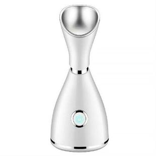 Face Steamer Facial Skin Nourish Moisturizing Nano Atomizer