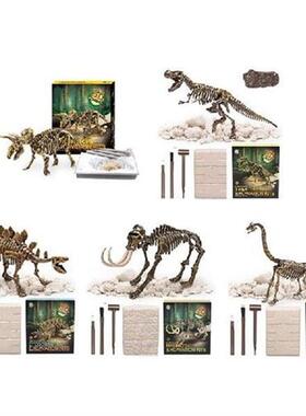 Dinosaur Fossil Excavation Kits Education Archeology