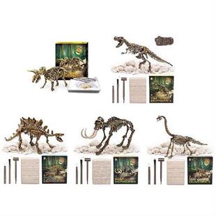 Dinosaur Fossil Excavation Kits Education Archeology
