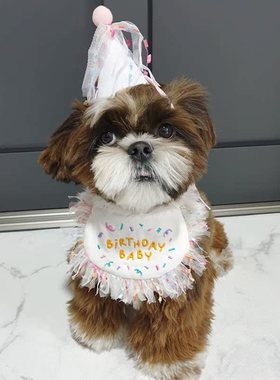 Pet Personalised Dog Collar and Crown Pet Birthday Dog