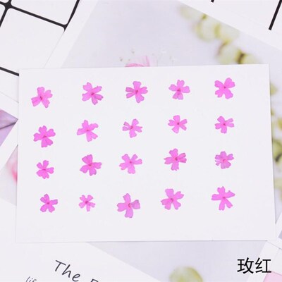 120pcs 10mm Pressed Dried Flower Cherry blossoms Filler  Epo