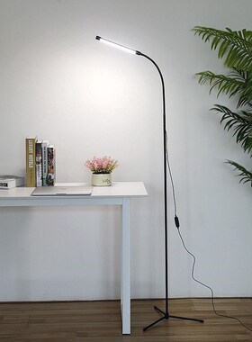 LED Floor Light Modern Standing Lamp Simple Style Study Room