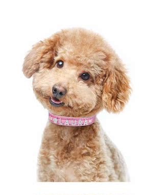 Personalized Dog Collar Leather Rhinestone Bling Charms Cust