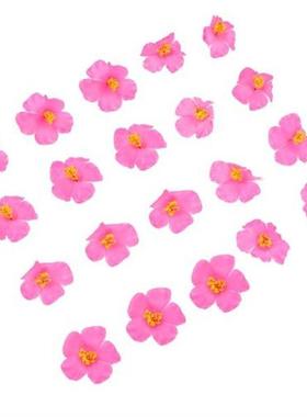 Hibiscus Flowers Artificial Flower Decoration Hawaiian Fake