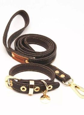 Flower Print Pet Dog Collar Leash Set for Small Medium Dogs