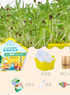 Observe a hydroponic plant planting spring onion garlic