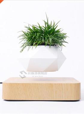 VIp Magnetic suspension flower pot Levitating Air Bonsai Pot