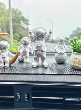 Astronauts car furnishing articles astronauts onboard
