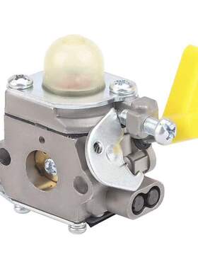 C1U-H60 Carburetor for Ryobi Homelite 25Cc RY28141 UT33600 U