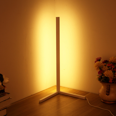 LED Floor Lamp Standing Lamps Modern Style Iron Painted
