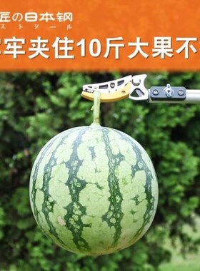 Apricot high fruit plucker fruit plucker head walnut