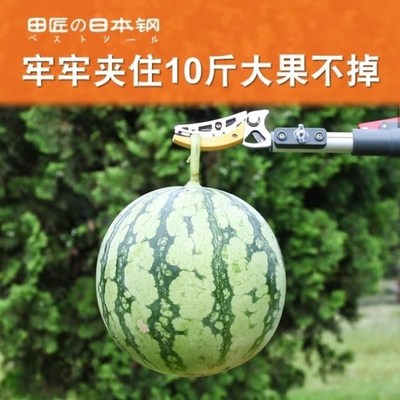 Apricot high fruit plucker fruit plucker head walnut