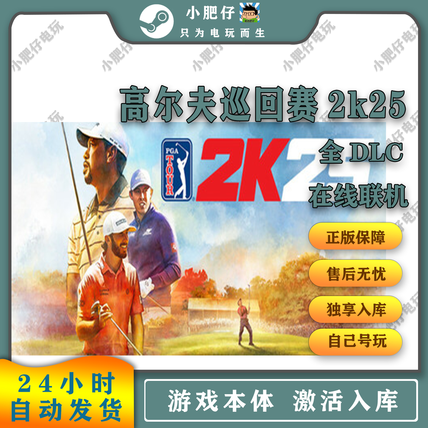 Steam高尔夫巡回赛2k25  自助激活入库全DLC 包更新全球区 CDKEY