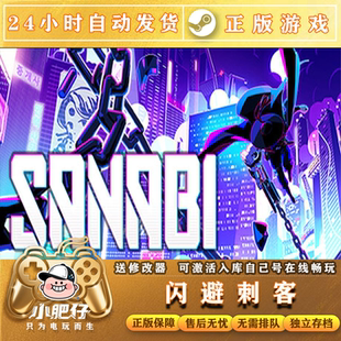 闪避刺客 Steam正版CDK激活码国区全球区入库 包更新 在线 PC