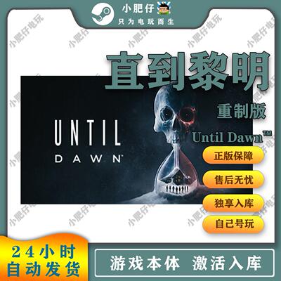 直到黎明重制版 Steam正版离线游戏 激活码入库 CDKEY 全DLC中文