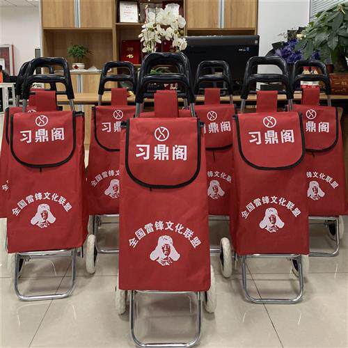 购物车买菜拉杆车替换布袋兜大号牛津布包备用兜子口袋小拉车袋子