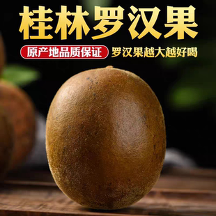 罗汉果干果正品 旗舰店中药材香料野广西桂林生永福特产罗汉果茶