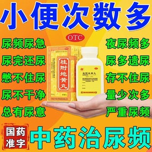 桂附地黄丸正品200丸同仁I堂金不换浓缩大密的功效尿频尿急不尽p
