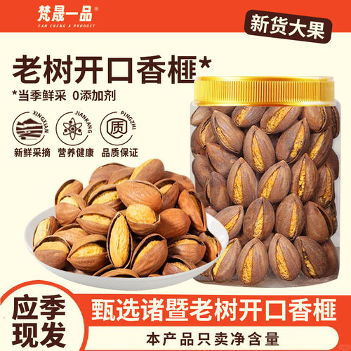 浙江诸暨老树香榧易拨大开口