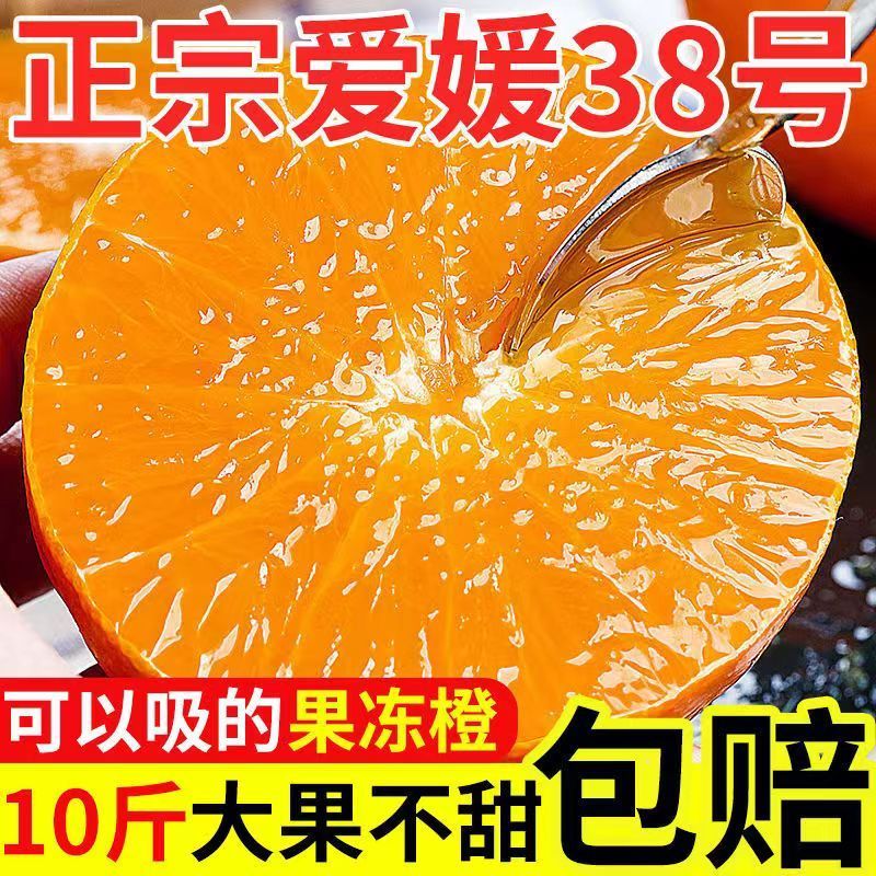 四川红美人果冻橙现摘发货爱媛38号果冻橙应季水果10斤产地直发