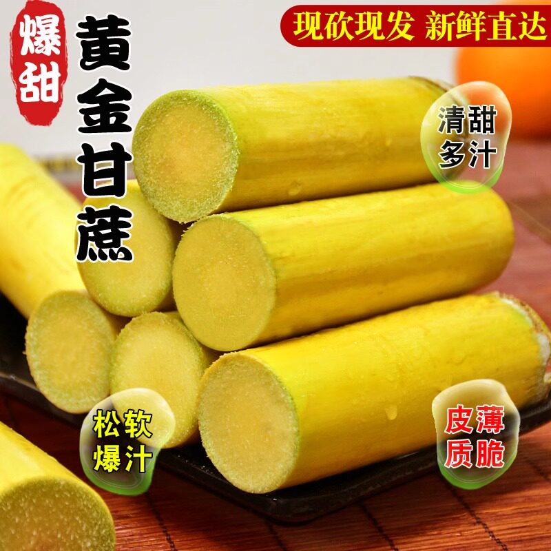 云南黄金青皮甘蔗9斤新鲜应季水果手剥甜甘蔗绿皮甘蔗非陶山甘蔗
