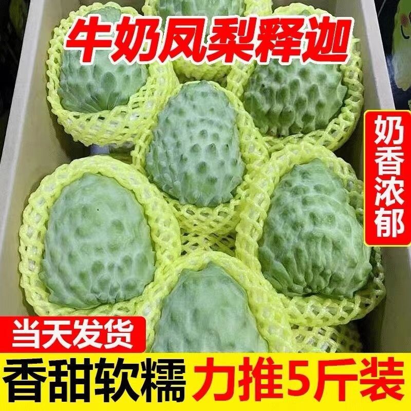 云南牛奶释迦果新鲜番荔枝佛头摩尼果泰国大目凤梨释迦果当季水果图片