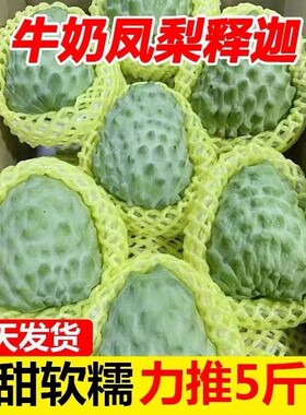 云南牛奶释迦果新鲜番荔枝佛头摩尼果泰国大目凤梨释迦果当季水果