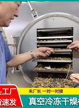 麻辣小龙虾真空冷冻干燥机 鹌鹑小体型冷冻干燥机 低温干燥设备