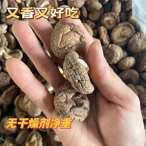 干香菇新货农家香菇干货2500克商用黄焖鸡用小香菇5斤剪根冬菇