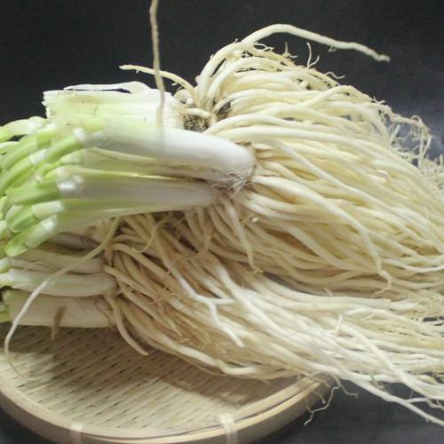德宏撇菜根新鲜蔬菜云南苤菜根凉拌腌制舂菜牛皮菜根大韭菜根宽叶