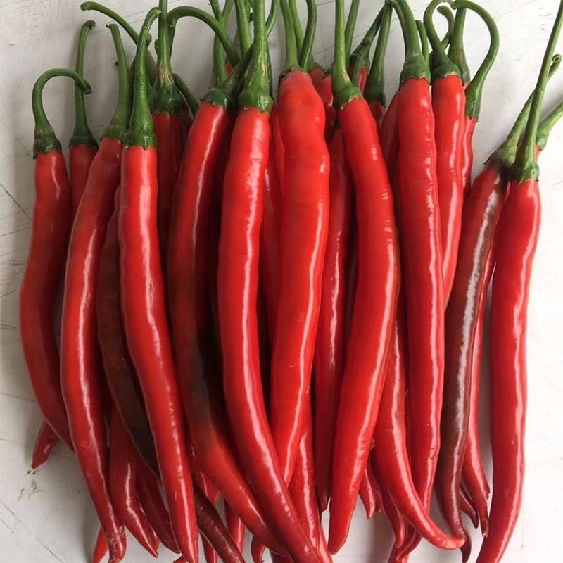 红线椒 红二荆条 云南德宏辣椒食用新鲜蔬菜尖椒微辣可做泡椒剁椒,水产肉类/新鲜蔬果/熟食,辣椒,淘宝优惠券,粉丝福利购,淘宝优惠卷