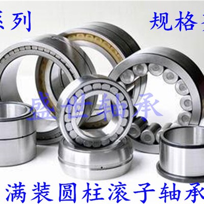 满装圆柱滚子轴承SL014848 NNC4848 内径240外径300厚度60mm