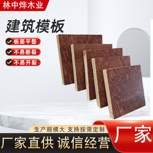 建筑模板杨木覆膜板桥梁工程支模用多层胶合板整张板材