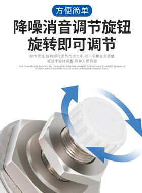 树脂1节流消音消器ASN/2-M5/0/02/0639304直插式声AN15/20-C06 08