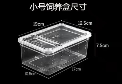 Pet keeping box  异宠专业饲养盒