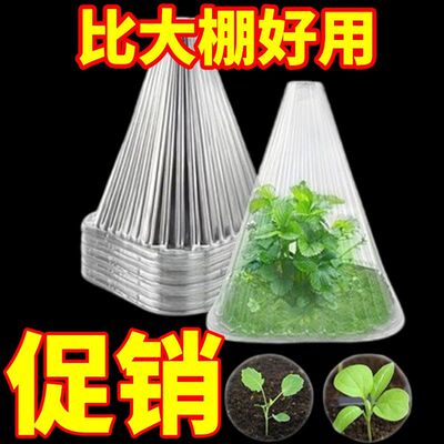 育苗保护罩透明钟罩可重复使用