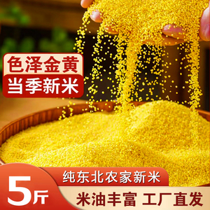 中广黄小米袋装500g独立包装小米杂粮五谷小米粥米糊月子米早餐米