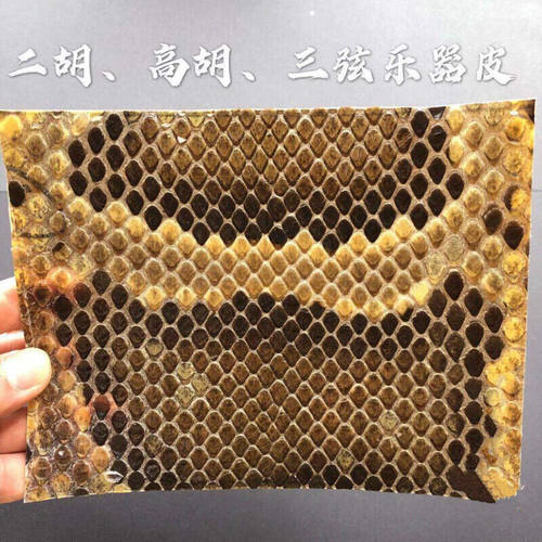 二胡乐器蟒皮潮州二弦蟒皮高胡蛇皮二胡手工蒙皮二胡用16宽14长(