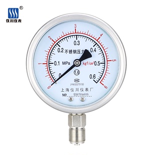 100BF气压表水压表油压表防腐 上海仪川仪表厂304全不锈钢压力表Y