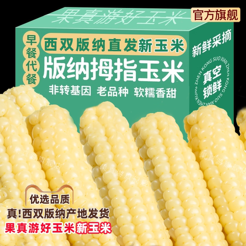 官方旗舰正宗西双版纳拇指新玉米