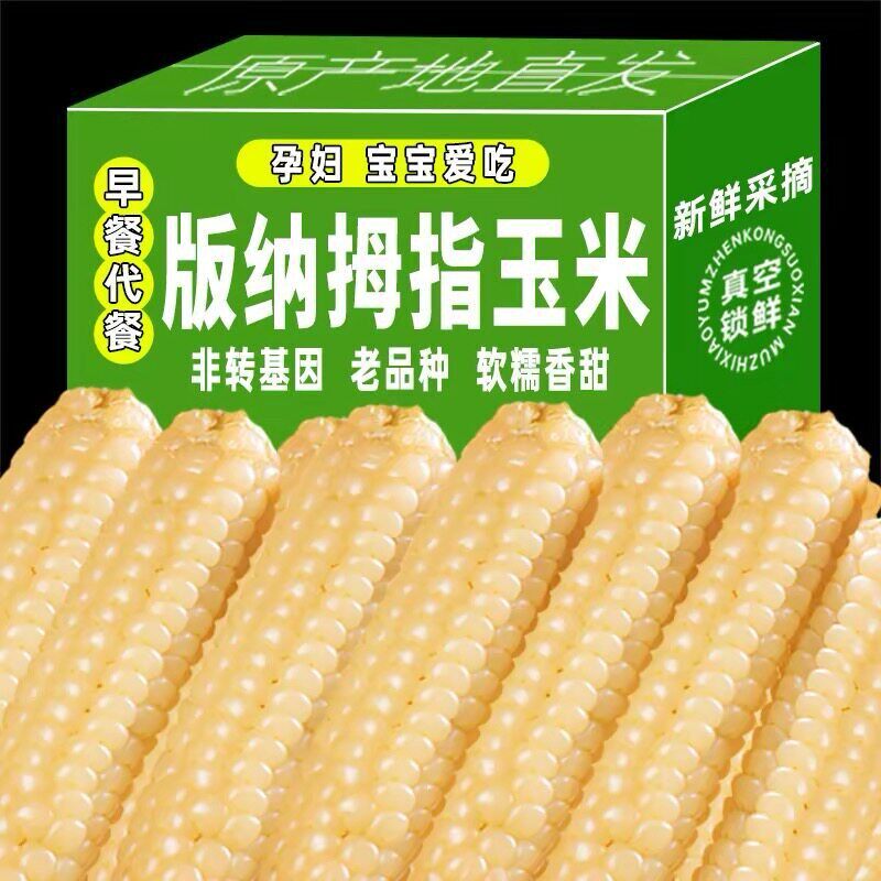 云南西双版纳拇指玉米嫩粒新鲜香糯儿童宝宝吃早餐手指小玉米官方
