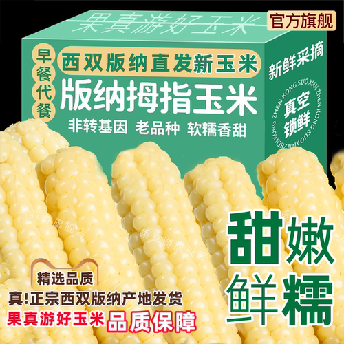 当月新玉米｜西双版纳直发；不好吃，可包退