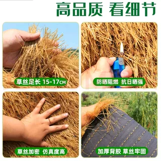 提供发票免费寄样量大价格优惠